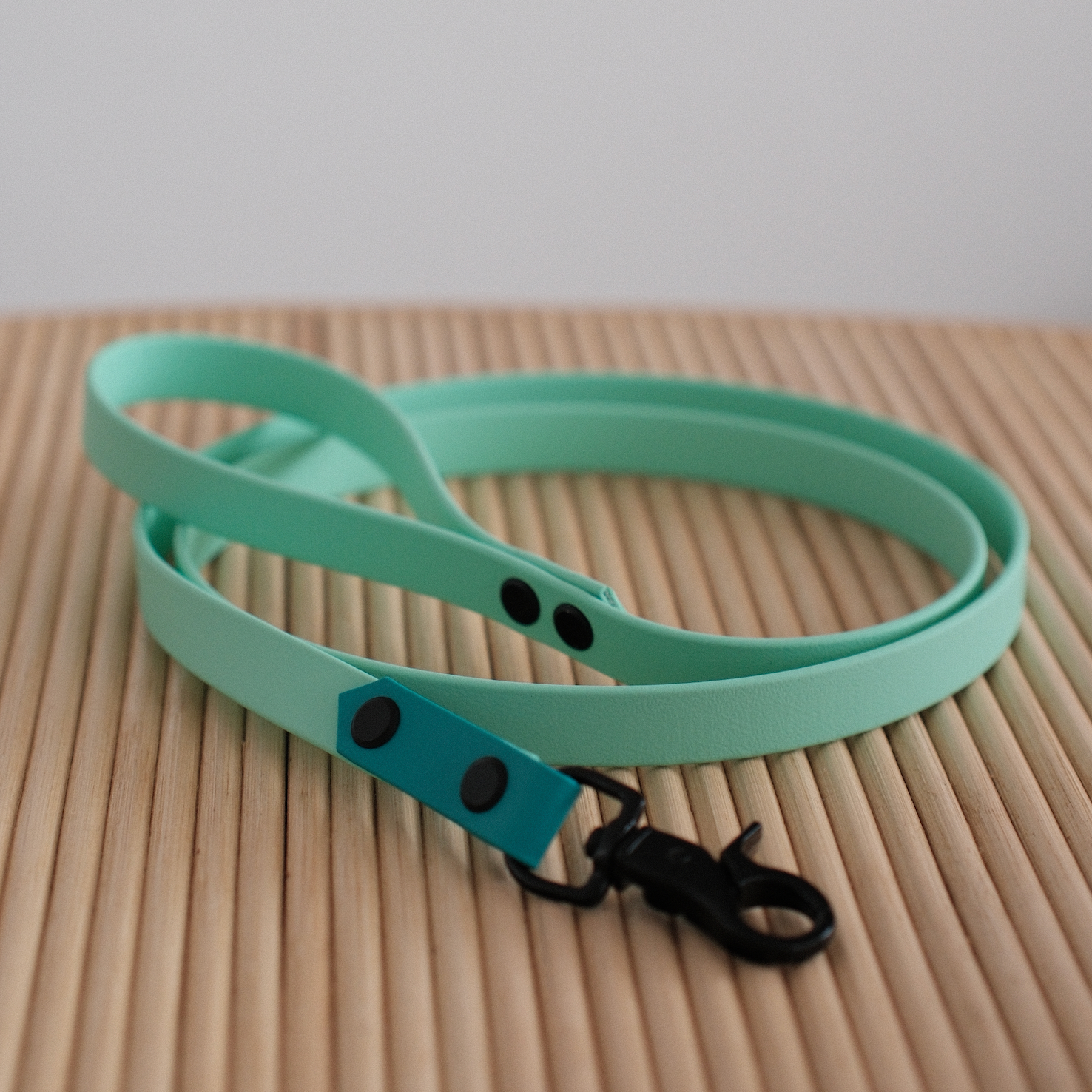 Führleine "Océano"