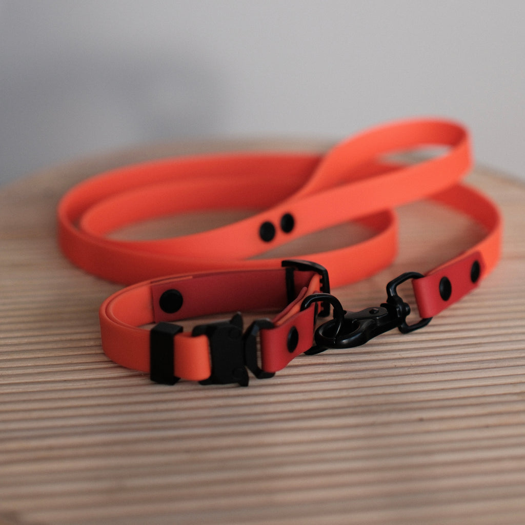 Sunrise-Energy Bundle