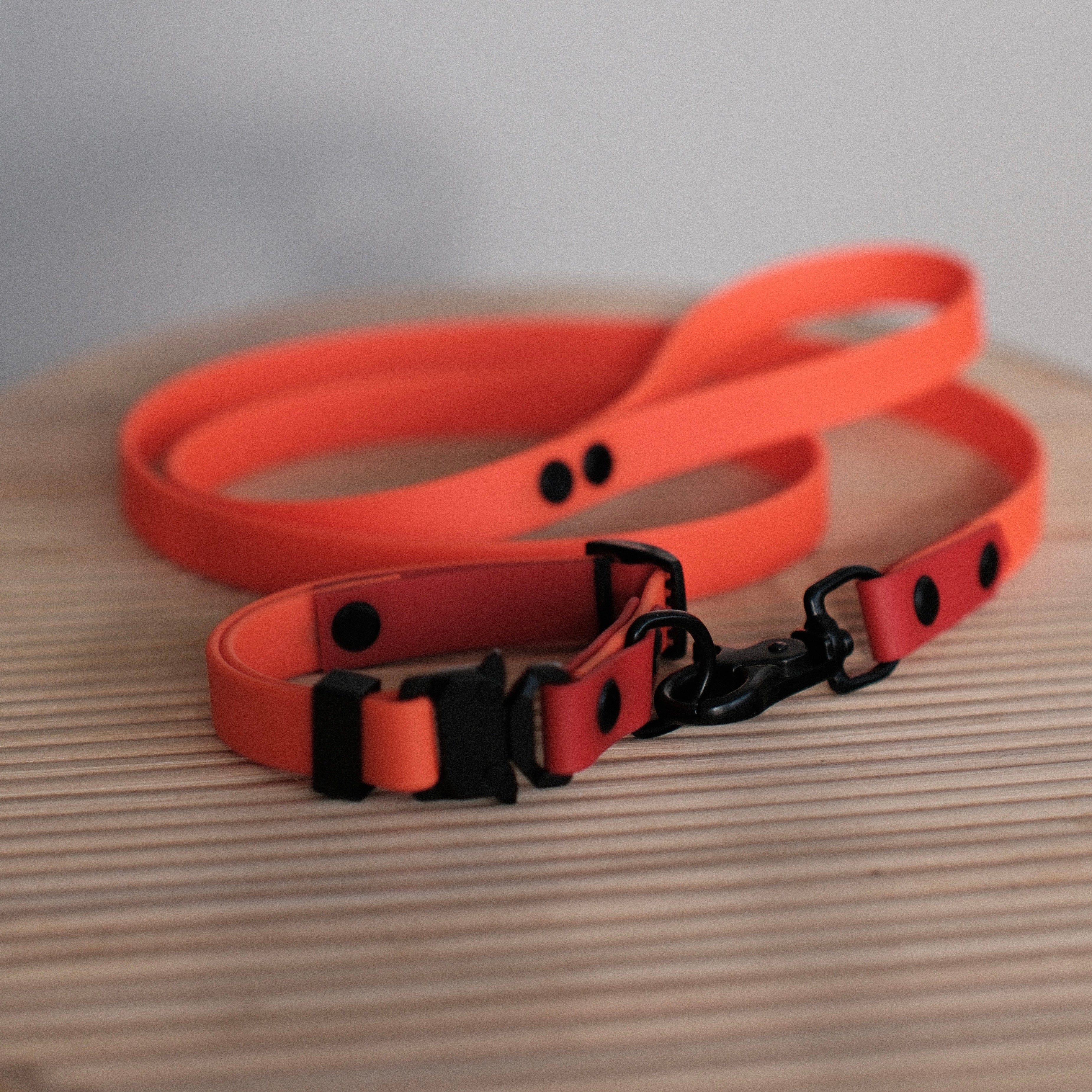 Sunrise-Energy Bundle